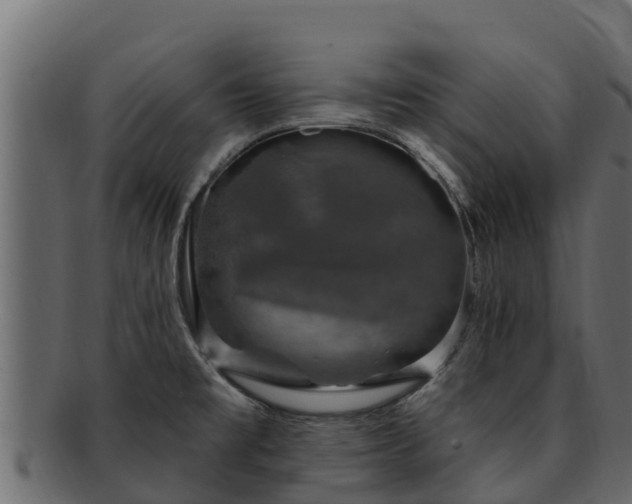 X0000092281477200710041402