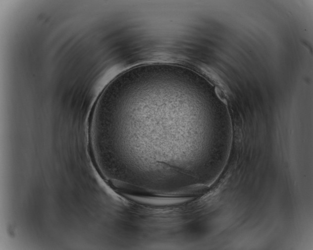 X0000092281479200710041402