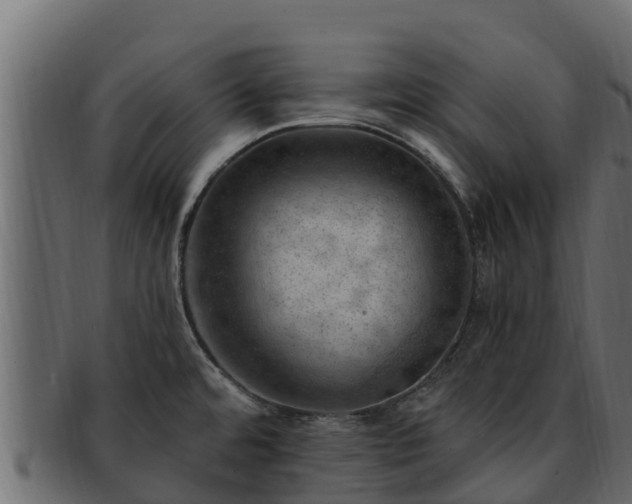 X0000092281480200710041402