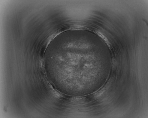 X0000092281481200710041402