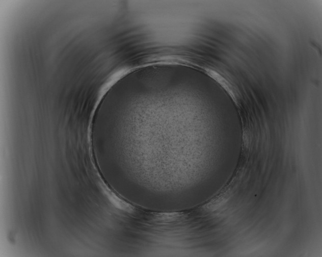 X0000092281482200710041402