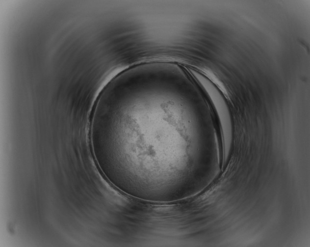 X0000092281484200710041402