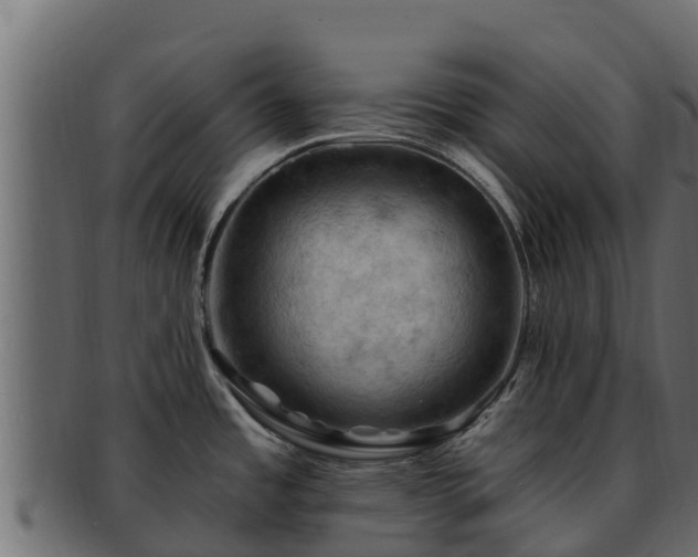 X0000092281485200710041402