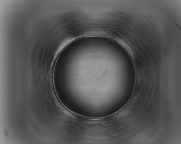 X0000092281486200710041402