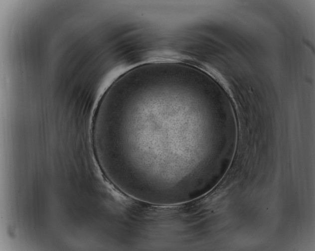 X0000092281488200710041402