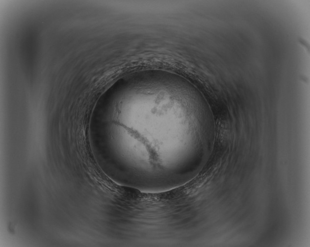 X0000092281489200710041401