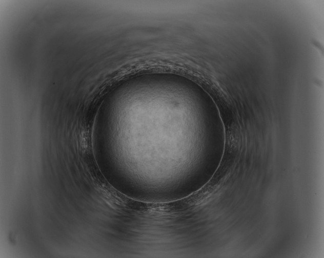 X0000092281490200710041401