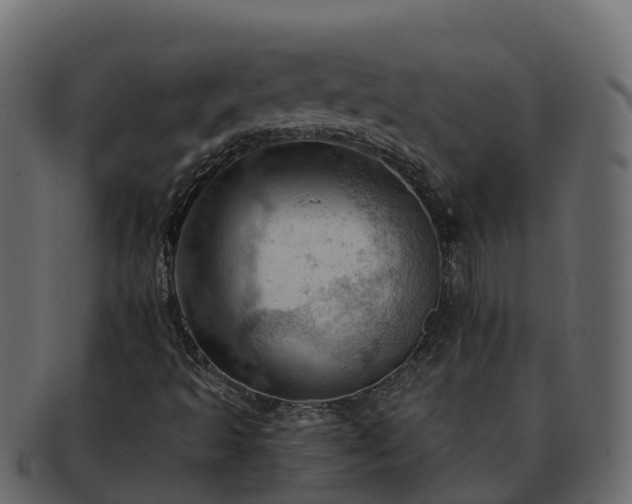 X0000092281493200710041401