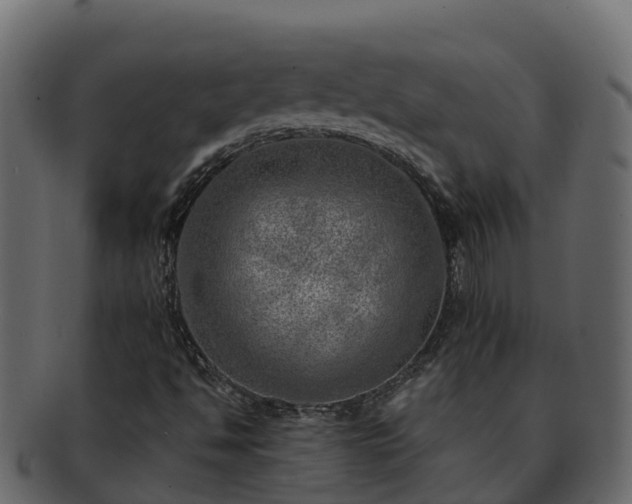 X0000092281494200710041401