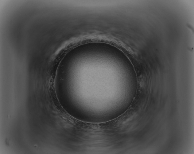 X0000092281495200710041401