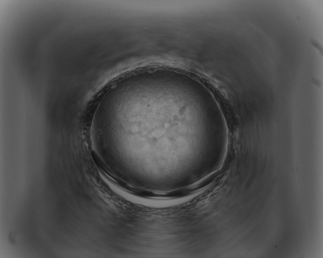 X0000092281496200710041401