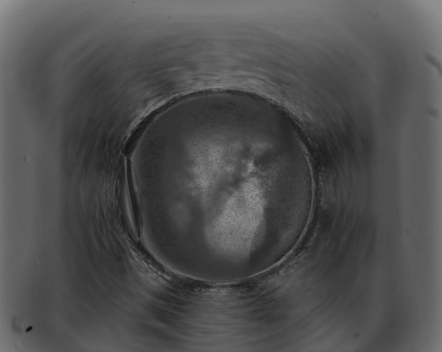 X0000092281497200710041401