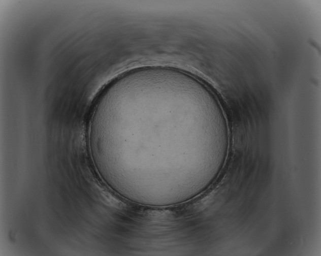 X0000092281498200710041401