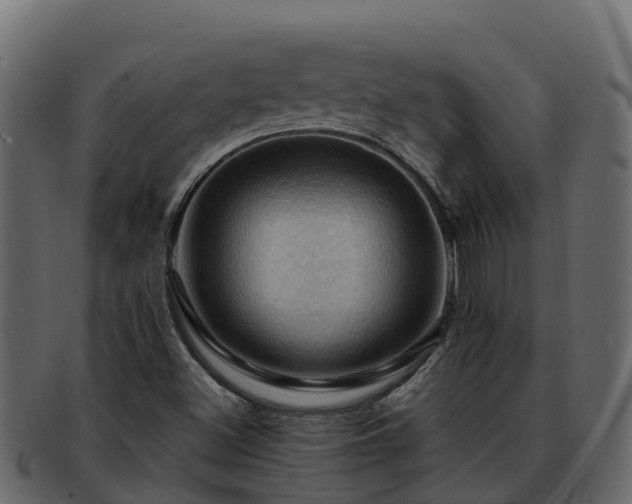 X0000092281500200710041401