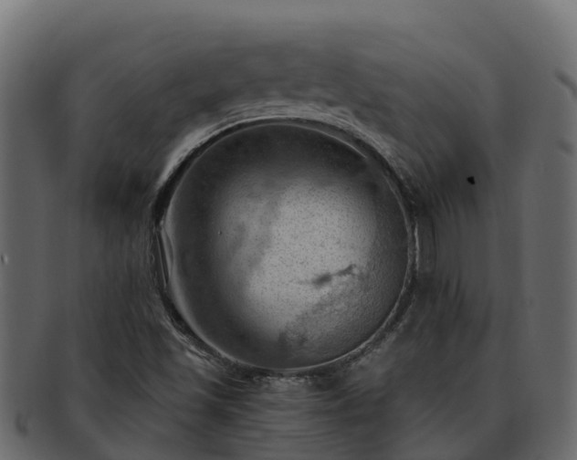 X0000092281501200710041401