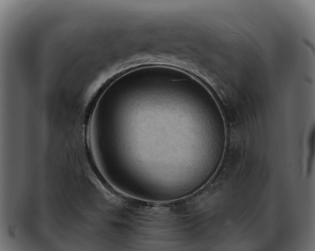 X0000092281503200710041401