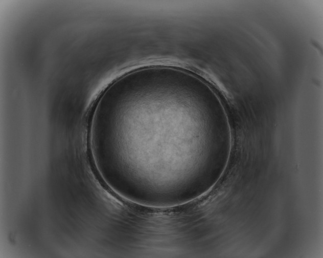 X0000092281504200710041401