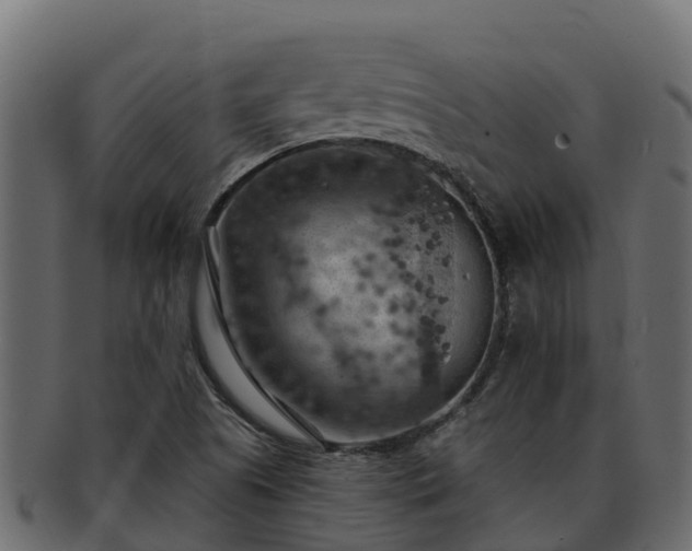 X0000092281505200710041401