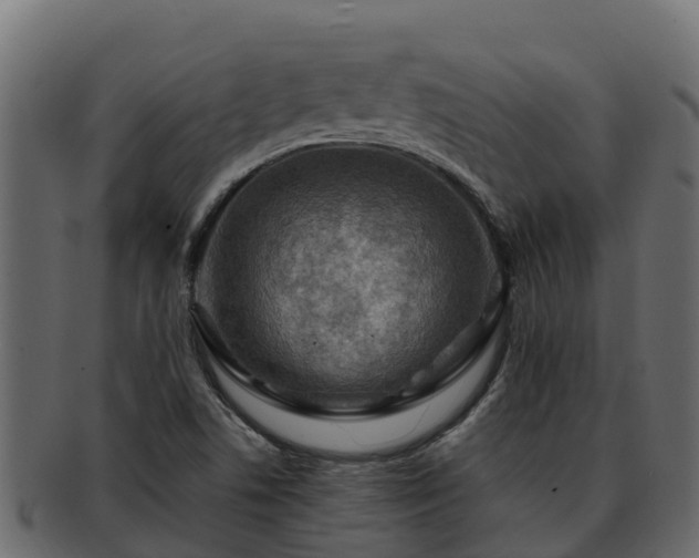 X0000092281506200710041401