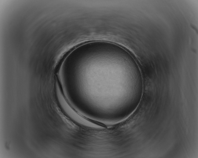 X0000092281507200710041401