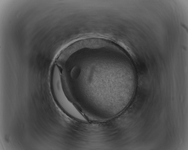 X0000092281508200710041401