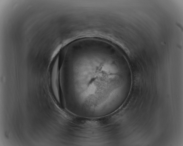 X0000092281509200710041401