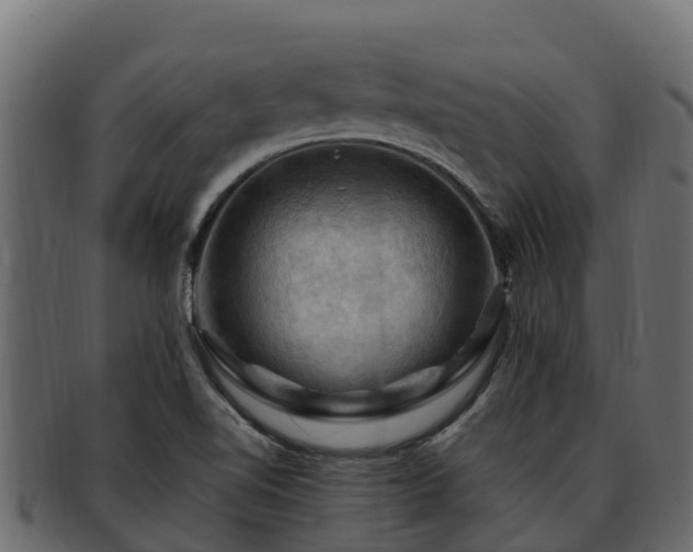 X0000092281510200710041401