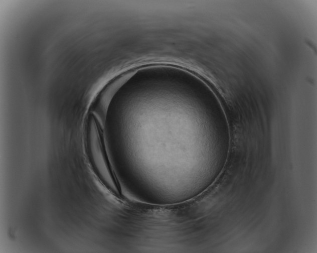 X0000092281511200710041401