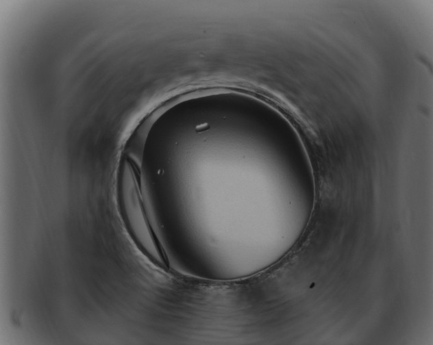 X0000092281512200710041401