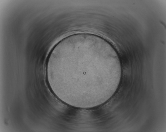 X0000092281514200710041401