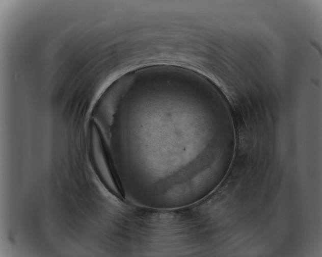 X0000092281515200710041401