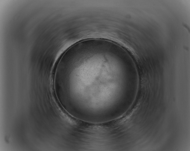 X0000092281517200710041401