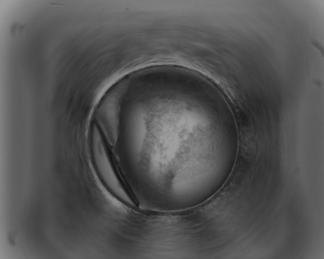 X0000092281519200710041401