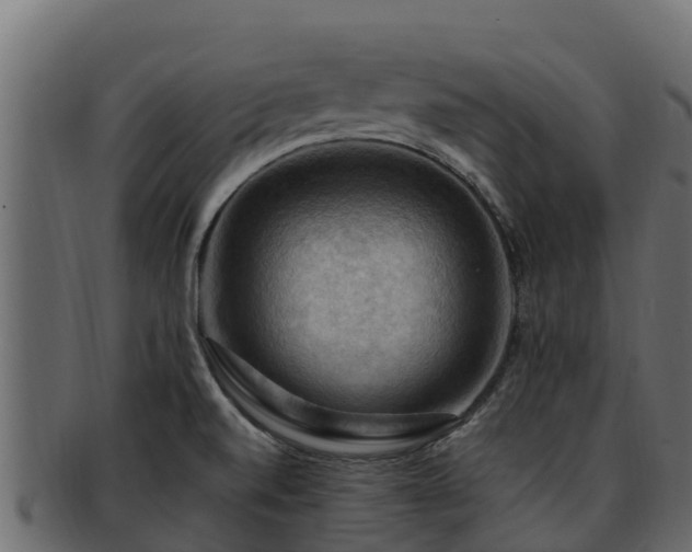 X0000092281520200710041401