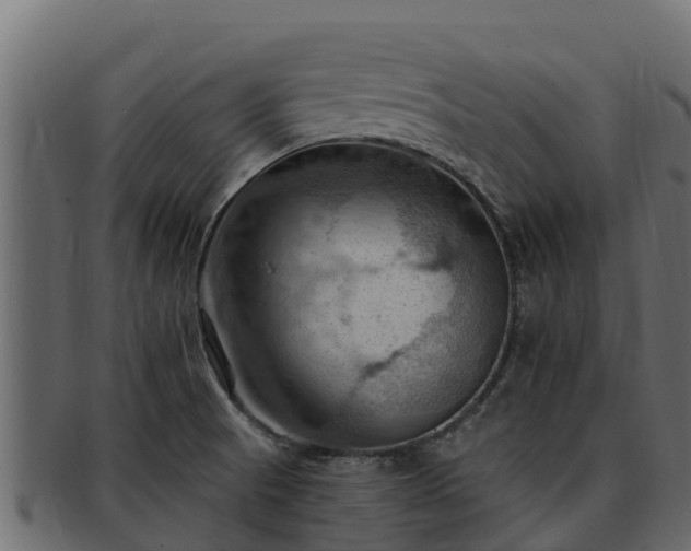 X0000092281521200710041401