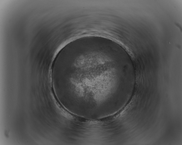 X0000092281522200710041401