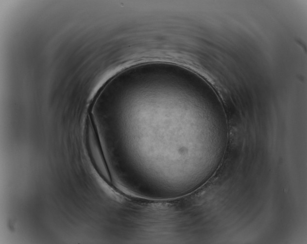 X0000092281523200710041401