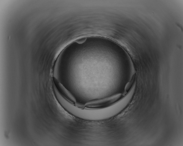 X0000092281524200710041401