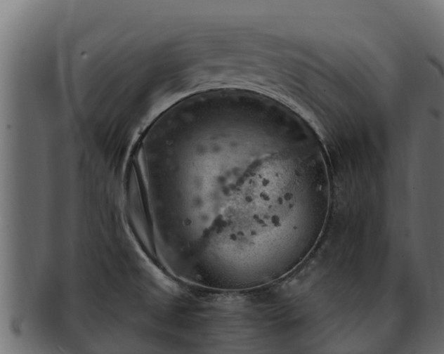 X0000092281525200710041401