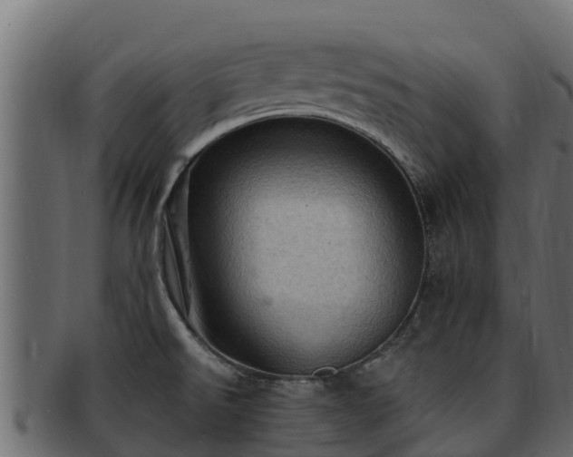 X0000092281526200710041401