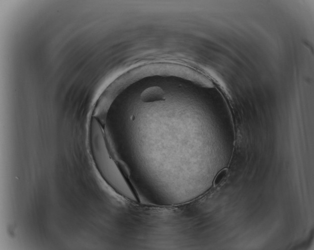 X0000092281528200710041401