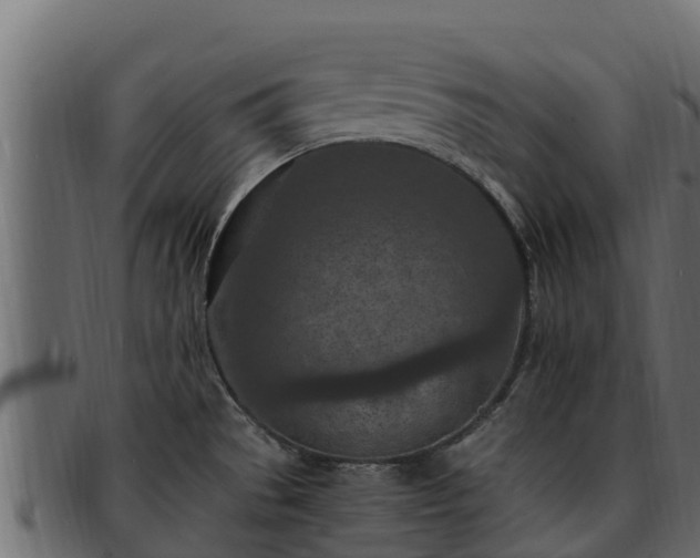 X0000092281529200710041401