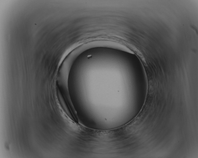 X0000092281530200710041401