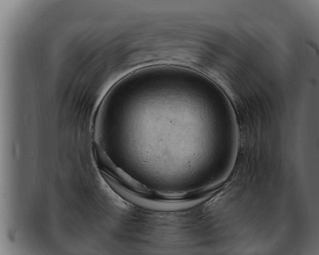 X0000092281532200710041401