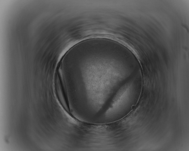 X0000092281533200710041401