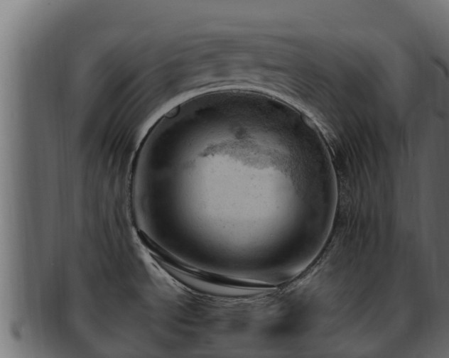 X0000092281534200710041401