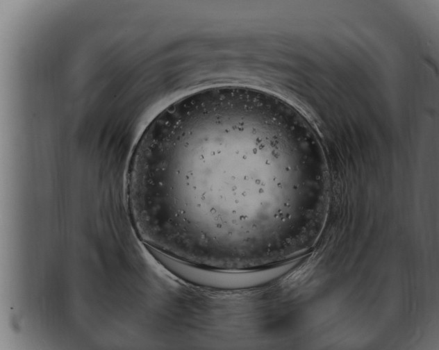 X0000092281535200710041401