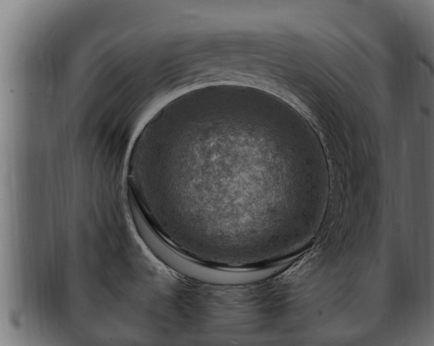 X0000092281536200710041401