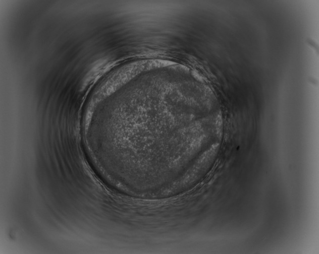 X0000092280002200710051152