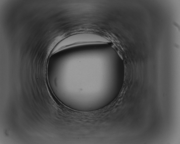 X0000092280003200710051152